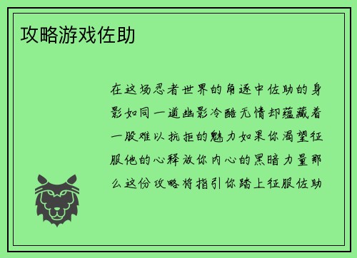 攻略游戏佐助