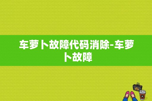 车萝卜故障代码消除-车萝卜故障