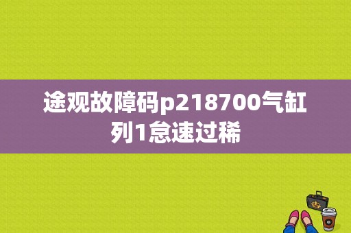 途观故障码p218700气缸列1怠速过稀