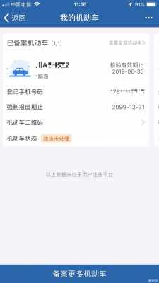 12123出故障了吗,12123故障找谁处理 