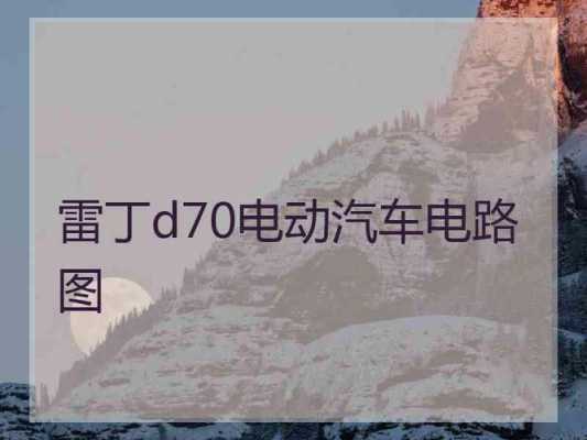 雷丁电动四轮故障诊断,雷丁电动四轮电路图 