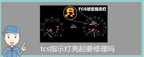 汽车故障码tcs