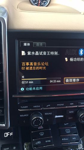 卡宴报语音故障听不清_卡宴提示音