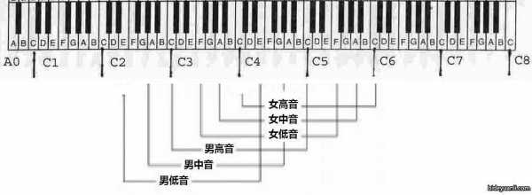 c5 音