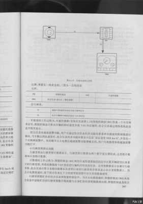 毕加索维修手册